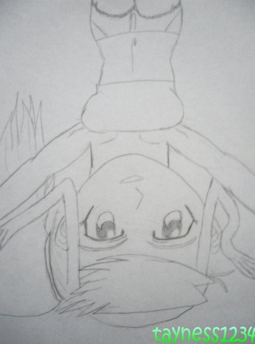 Taking Pictures! ^_^