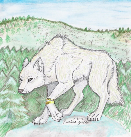 Trade With Dark Wolf 14