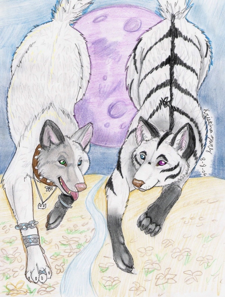 Ill Race You To Paradise