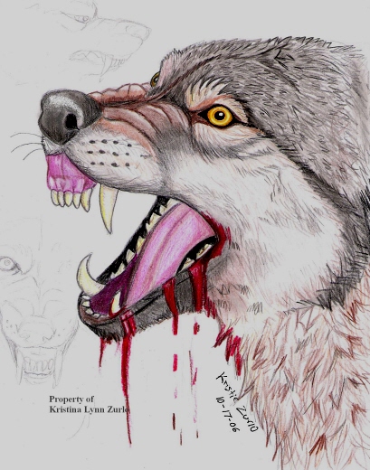 Anger And Rage In Wolf Form