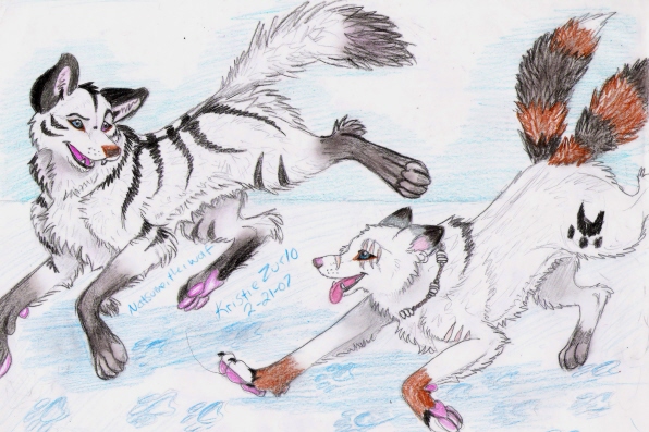 Trade With Kira The Wolf