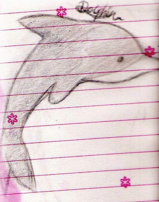 Dolphin