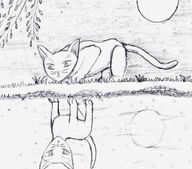 Reflection In The Pool