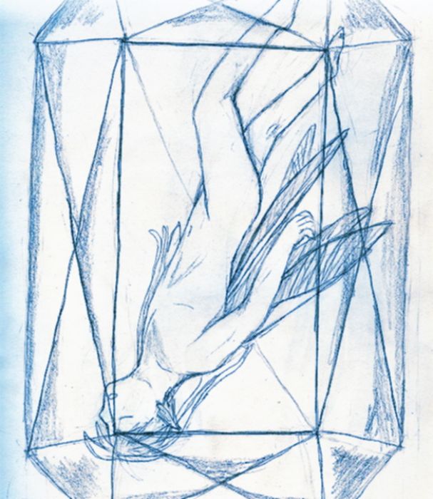 Trapped In A Crystal