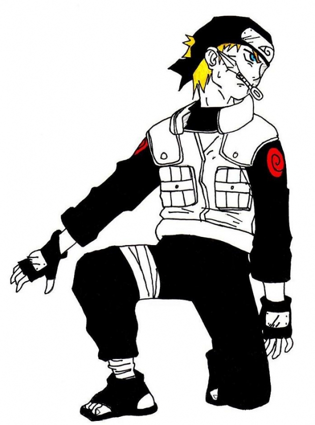 Ninja Spy Naruto