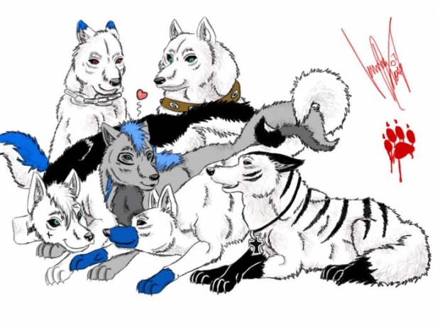 **request For Wolf4ever**