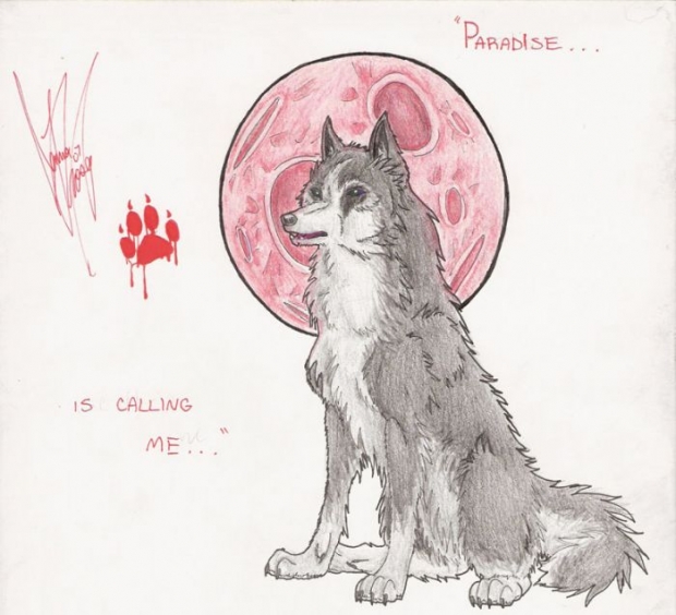 **for Rootofallevil** :d