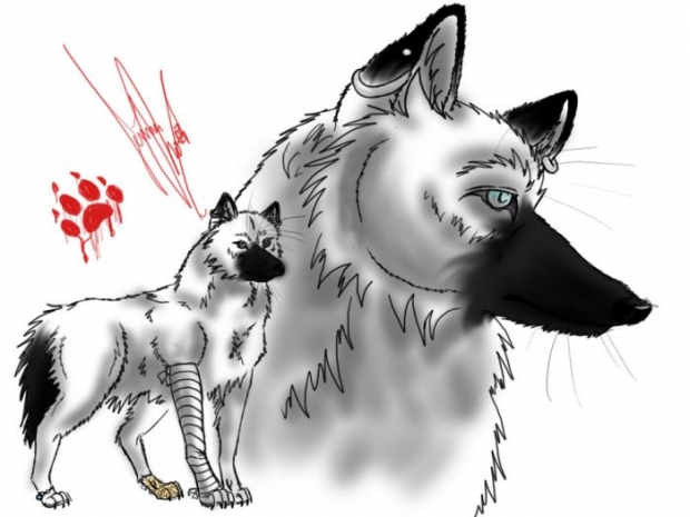 *request For Paws In The Mist*