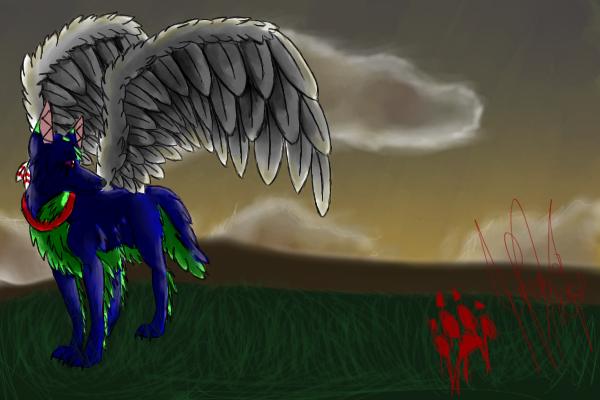 Sunset For Dream Catcher