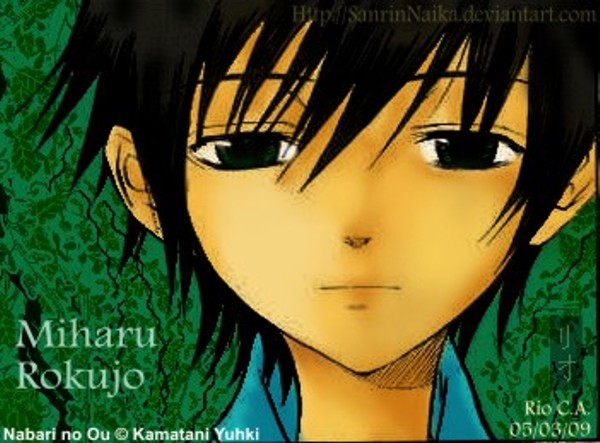Nabari no Ou: Rokujo Miharu
