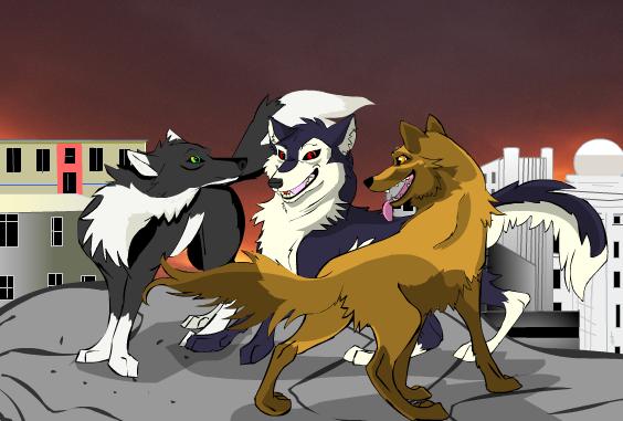 Welcome To The Pack, Rian!