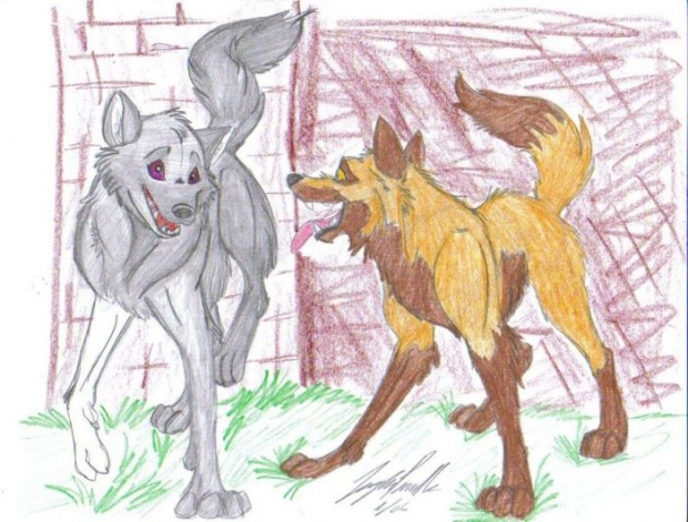 Trade With White Wolf82