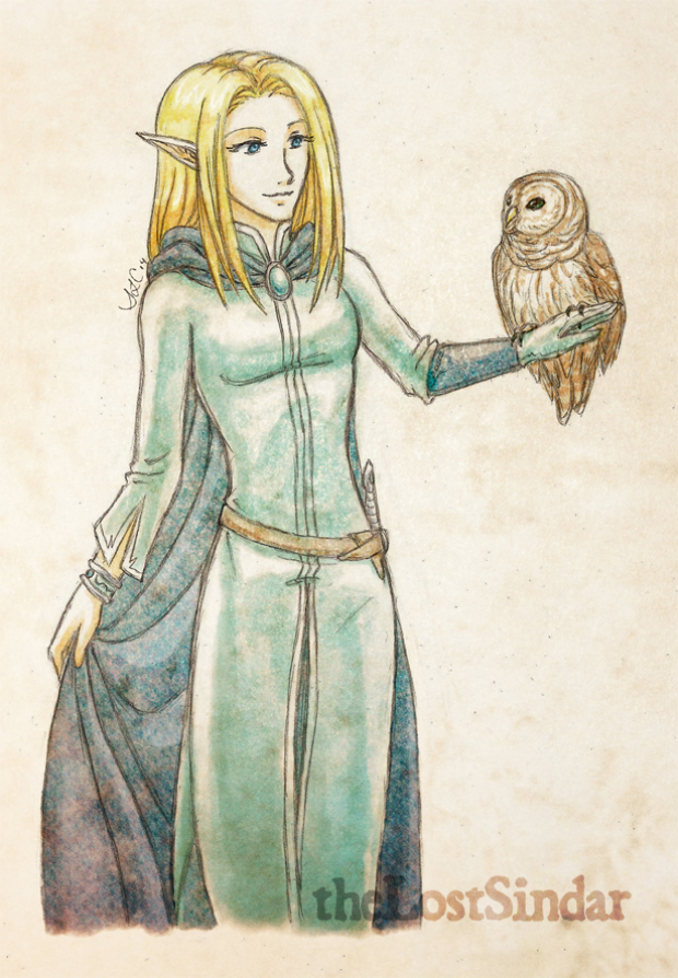 The Wanderer's Companion