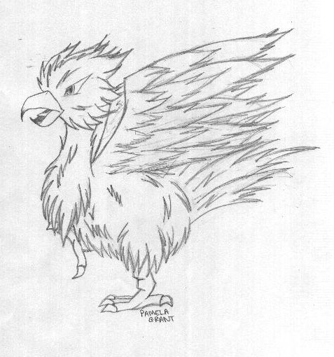Fuzzy Chocobo
