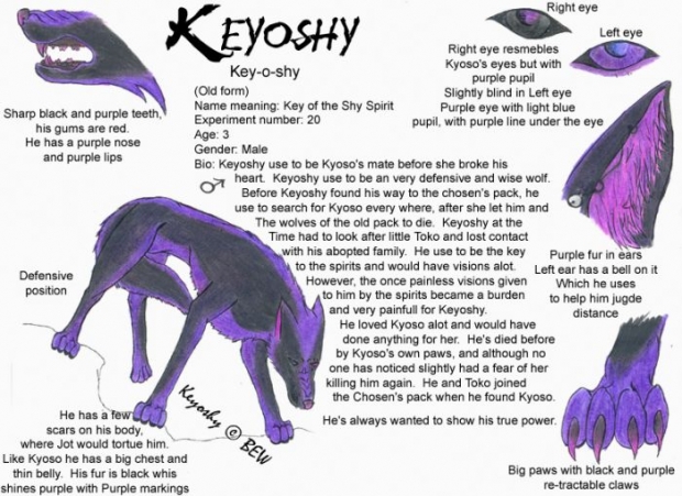 Keyoshy Ref.sheet 1