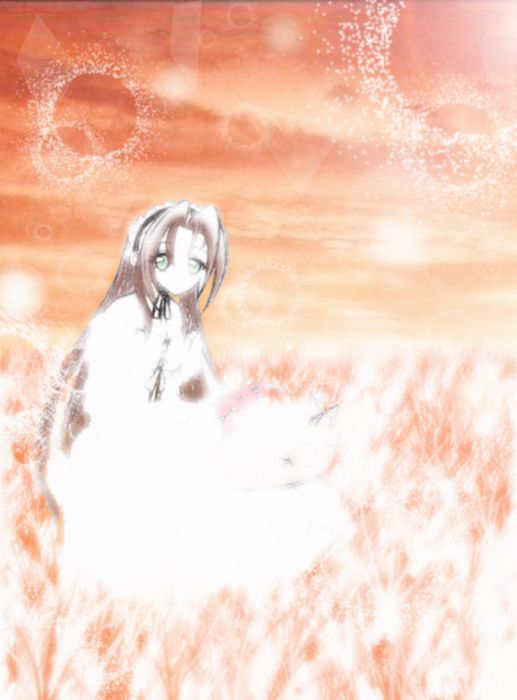 The Light Of Pure Heart