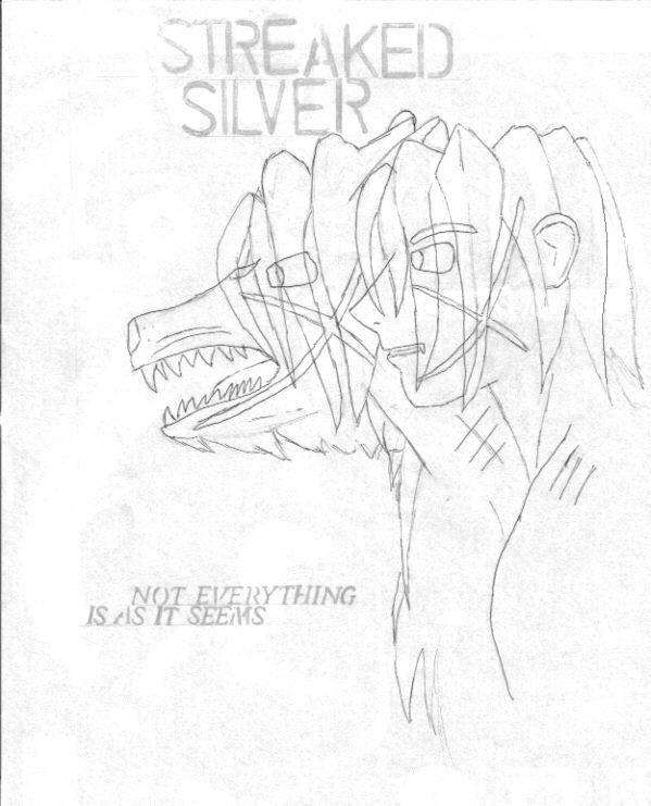 Streaked Silver Cover