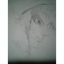 Link From Twlight Princess