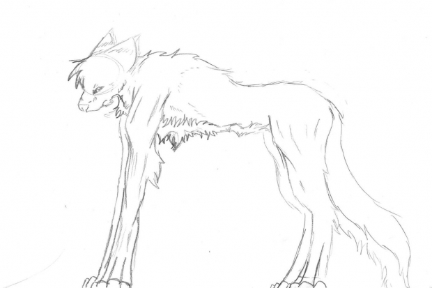 Emo wolf lineart