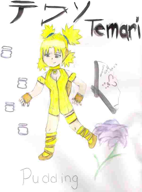 Temari As Pudding