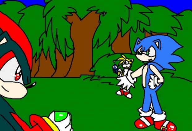 Sonic Vs Shadow