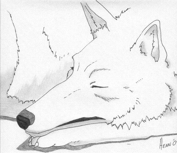 Kiba Sleeping