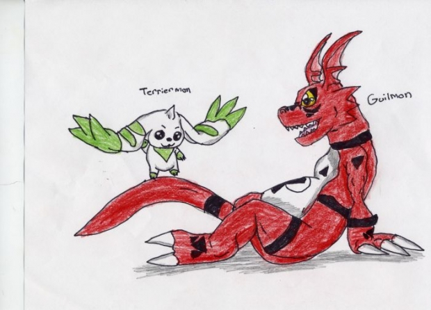 Gift For Nine-tailed9