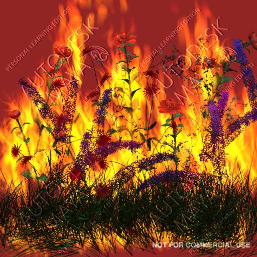 Appearances can be Decieving...