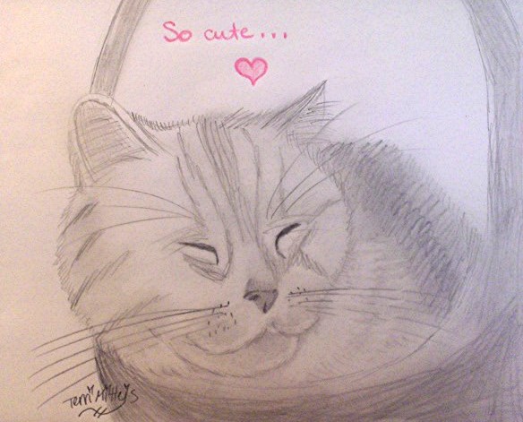 Request From Sick Of This