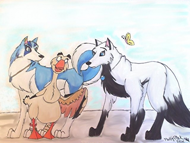 Talk Turkey Coloured