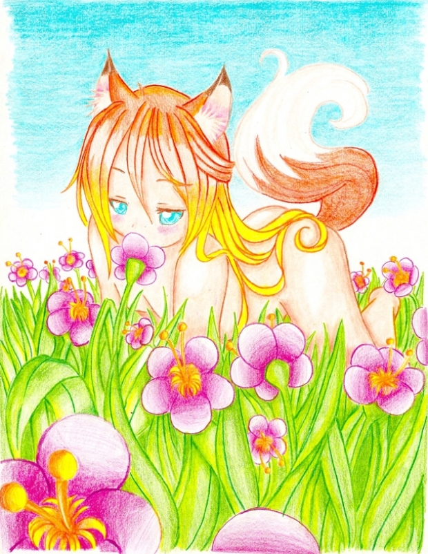 fox in a flower field