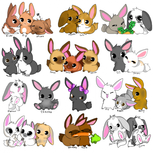 BinkyBunny Club