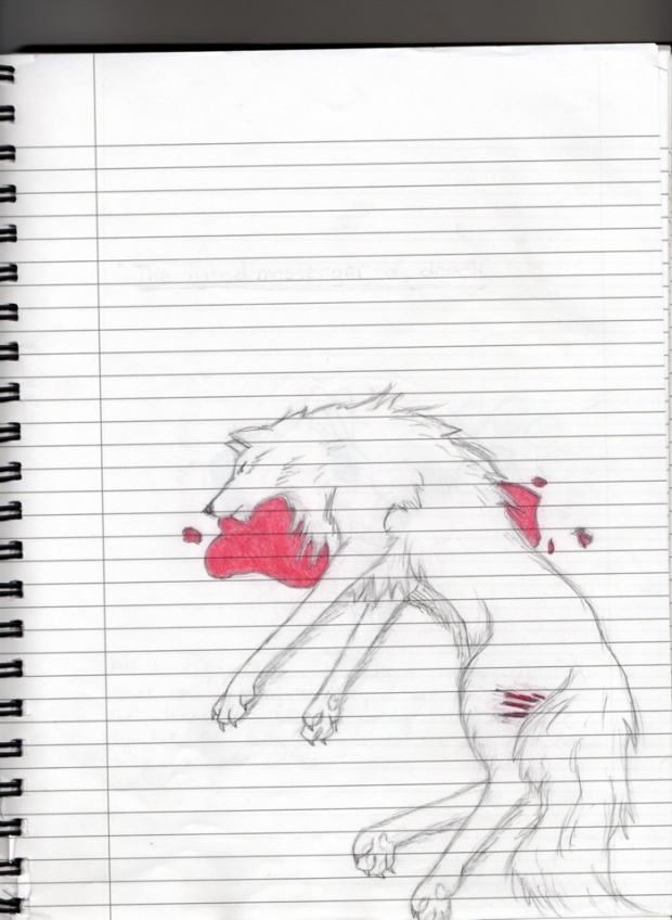 Kiba Bleeding