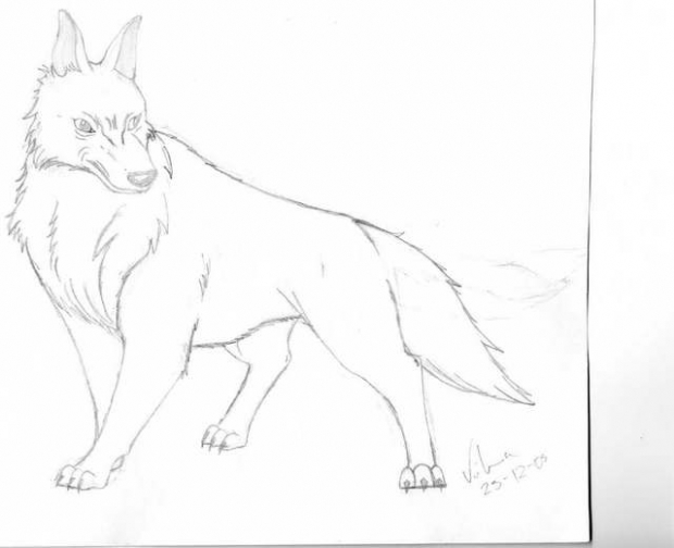 Dont Get Near Me -__-