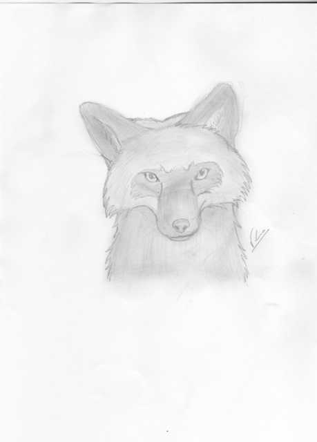 A Lovely Wolf^^see It^^