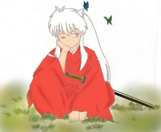 Inuysasha In A Field