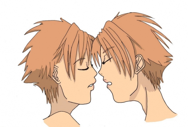 Hikaru and Kaoru +twincest+