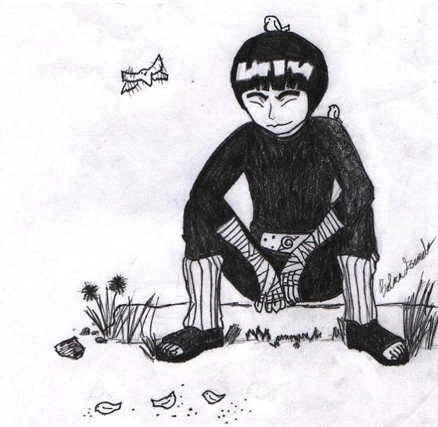 Rock Lee & Tiny Birds