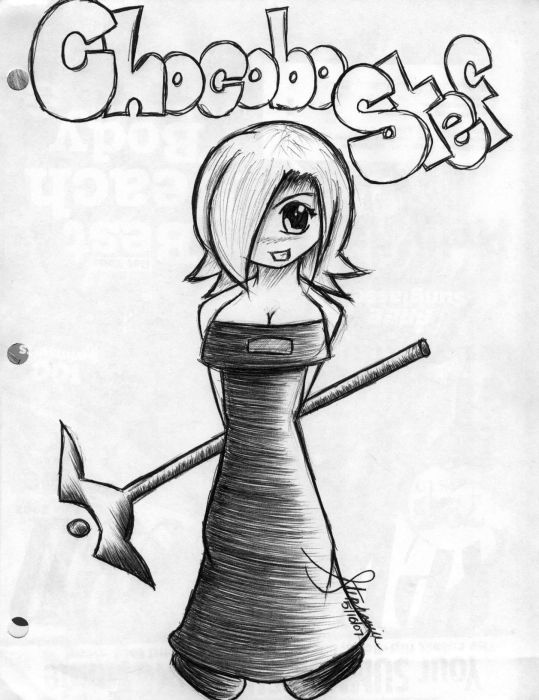 Chocobostef