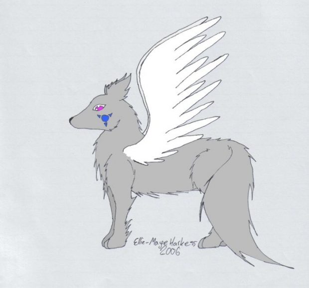 Winged Fox