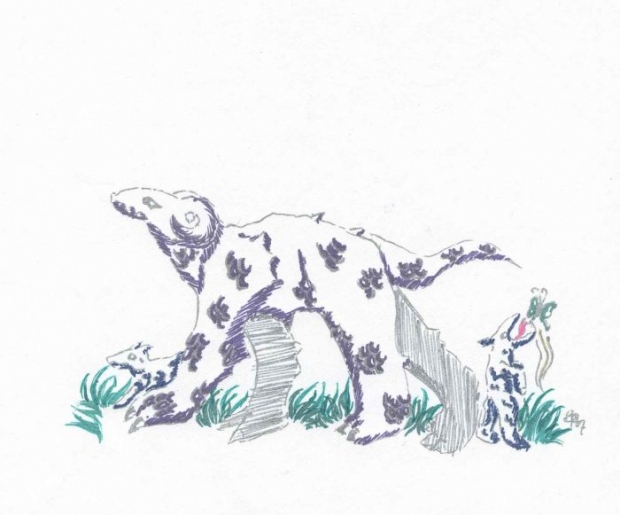 U N S A Female And Offspring