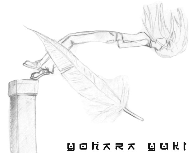 I'm Not Afraid To Fall