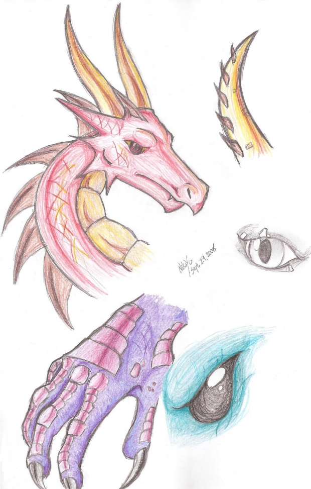 Dragon sketches