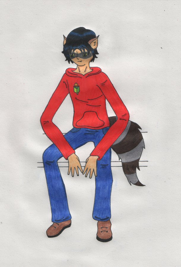 Half Racoon Boy