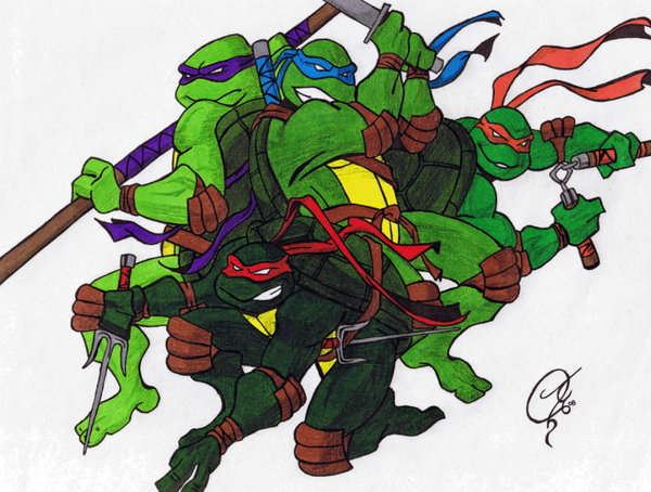 Ninja Turtles, 2008