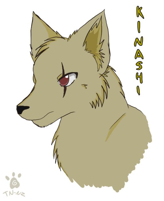 Furry Boredom: Kinashi The Wolf
