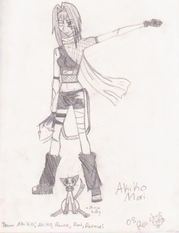 Akiko And Ninja Kitty