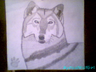 My Wolf - Midnight Star