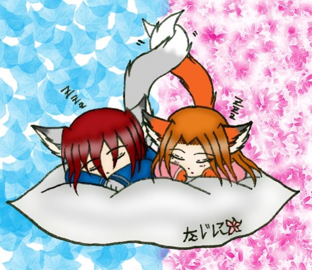 Sleeping Foxes