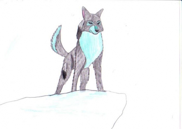 Heike The Wolf